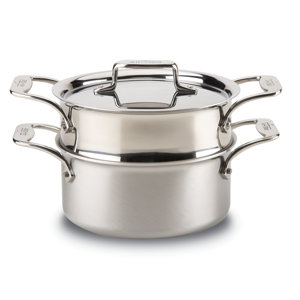 d5 Brushed Stainless 3-qt. Multi-Pot with Lid