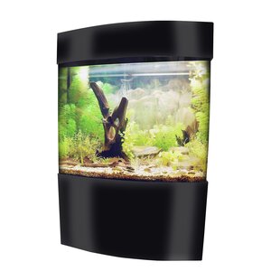 Aquarium Tank