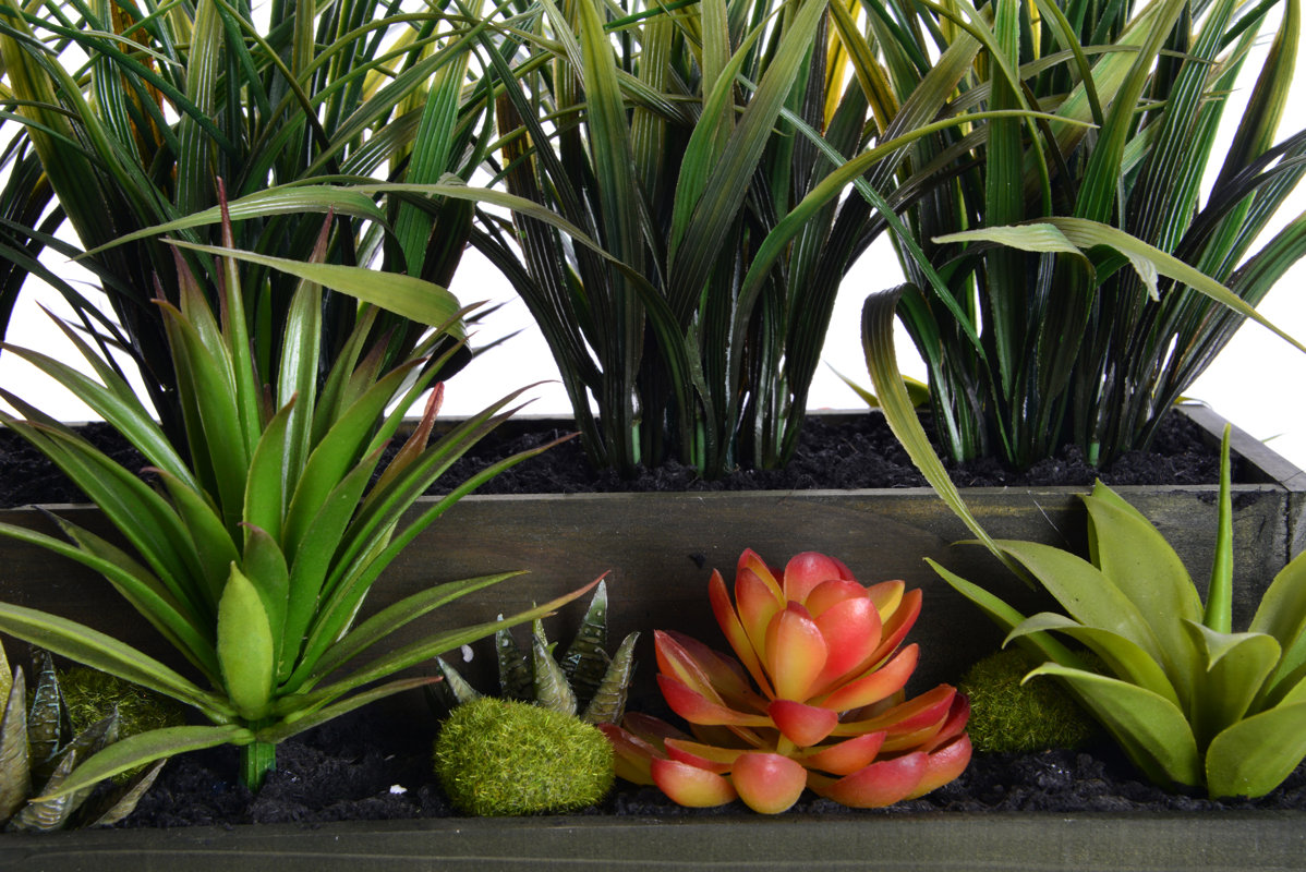 Wildon Home ® Plastic Grass in Rectangular Wooden Planter & Reviews