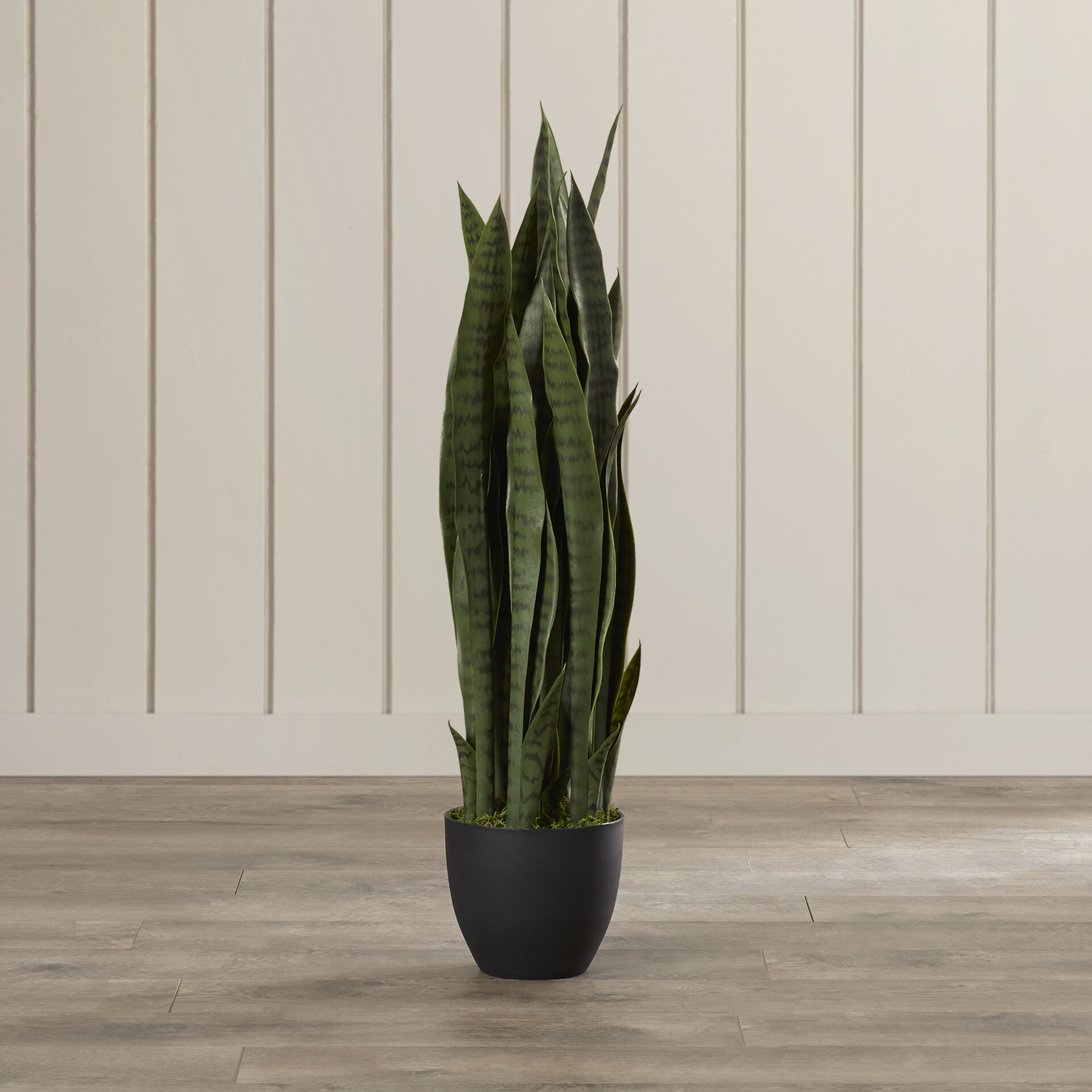 Faux Snake Plant in Pot & Reviews | Joss & Main