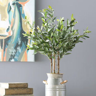 Olive Tree Decor Wayfair Olive Tree In Pot