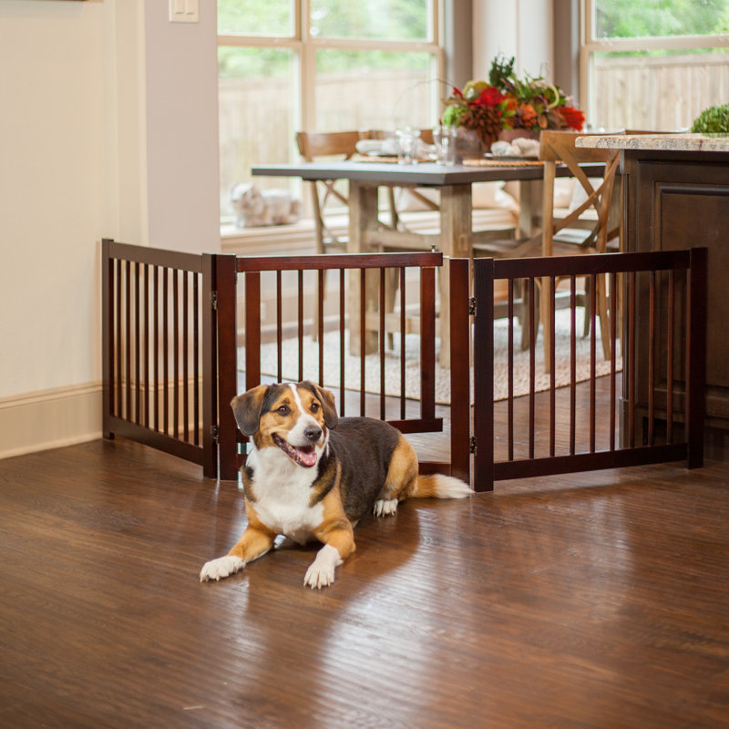 Primetime Petz 360 Configurable 24" Pet Gate & Reviews Wayfair