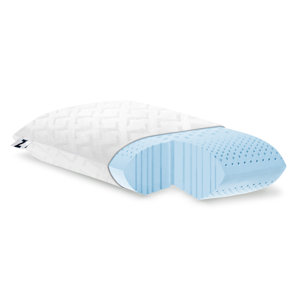Zoned Gel Dough Foam Pillow by Alwyn H..