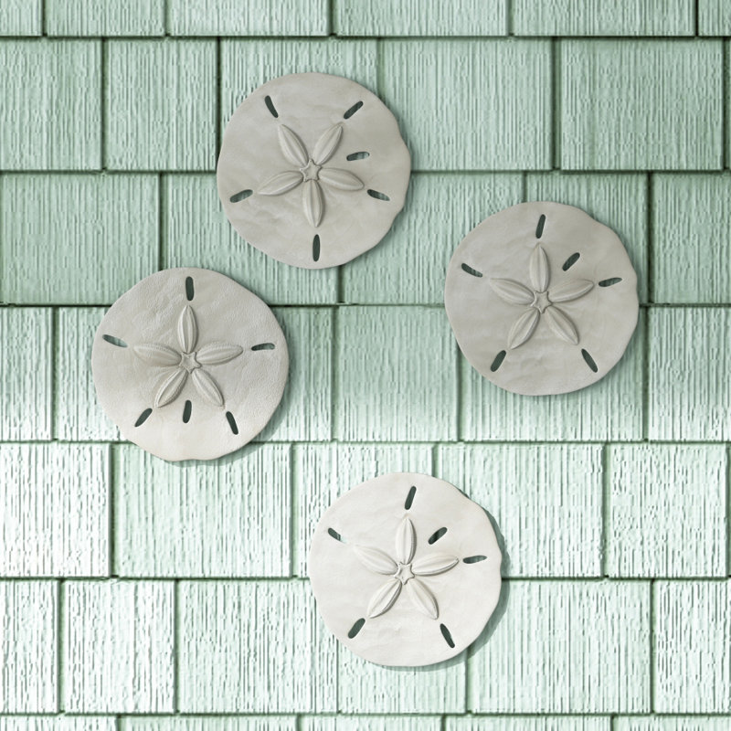 Sand Dollar Wall Décor & Reviews Joss & Main