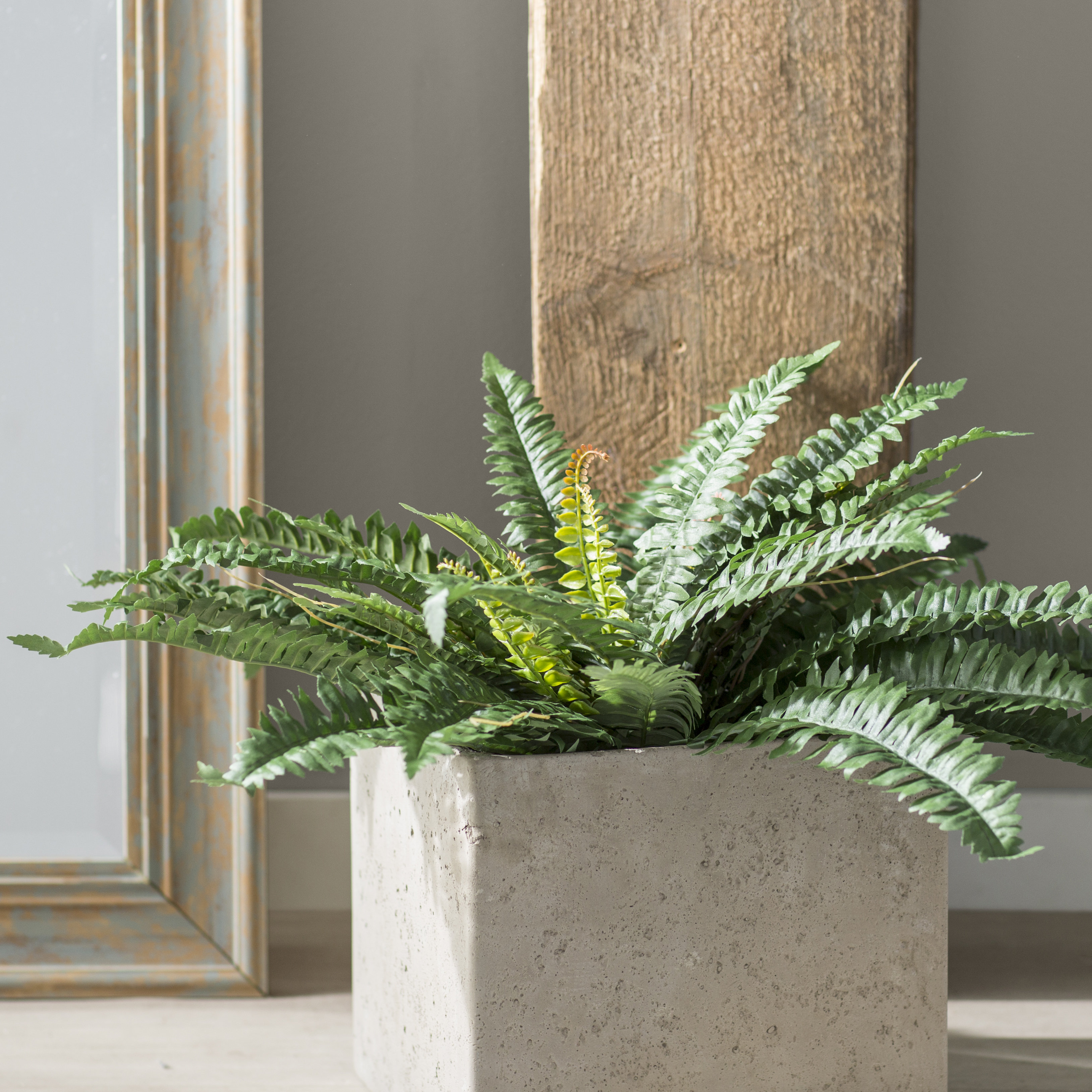 Williston Forge Bothwell Fiberstone Planter Box WLFR7103 Color: Gray Size: 24 H x 24 W x 24 D pics Williston Forge Bothwell Fiberstone Planter Box WLFR7103 Color: Gray Size: 24 H x 24 W x 24 D picture