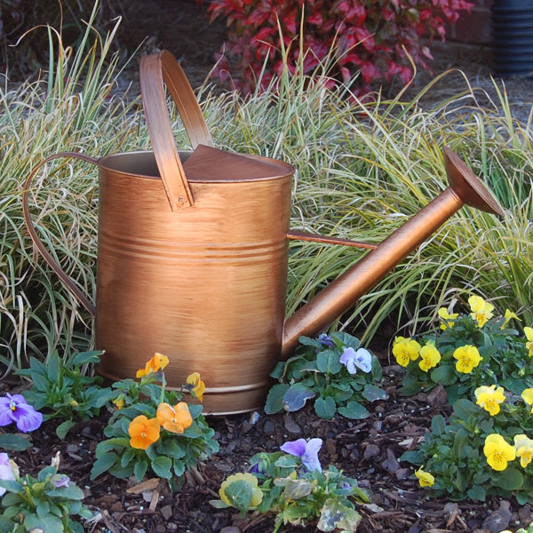 Griffith Creek Designs 1.5 Gallon Metal Watering Can & Reviews Wayfair