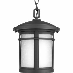 Chamberlain 1-Light Hanging Lantern