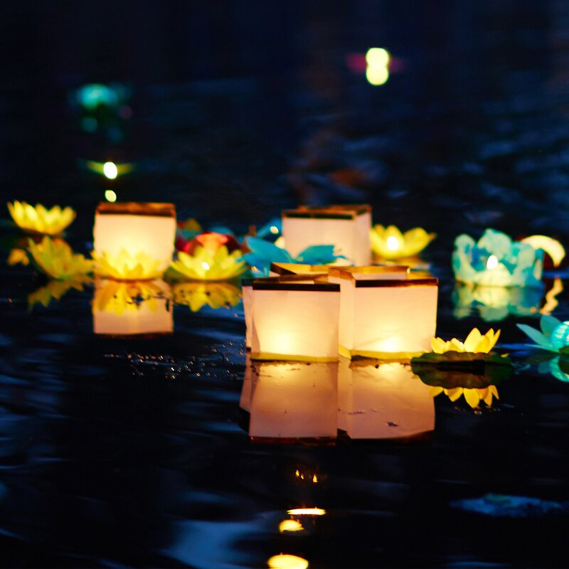 LumaBase Floating Water Lantern & Reviews | Wayfair