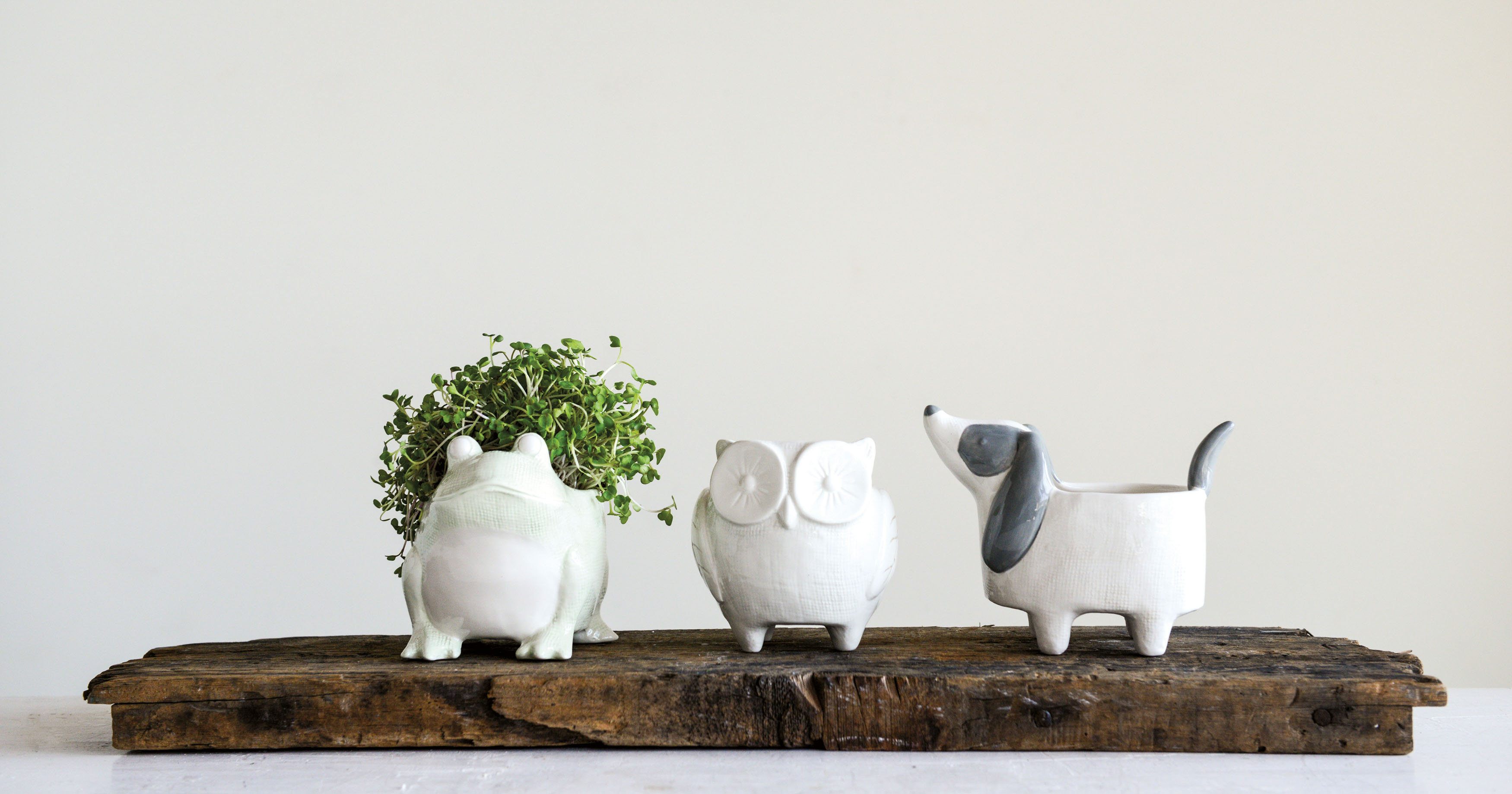 Auten Ceramic Frog Planter Joss Main