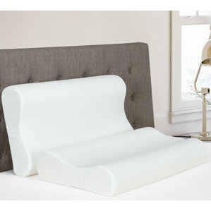 Memory Foam Pillow by Alwyn Home