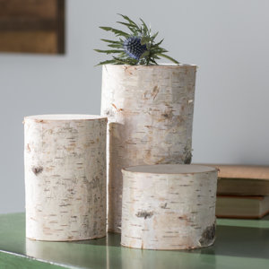 3 Piece Decorative Birch Pillar Set