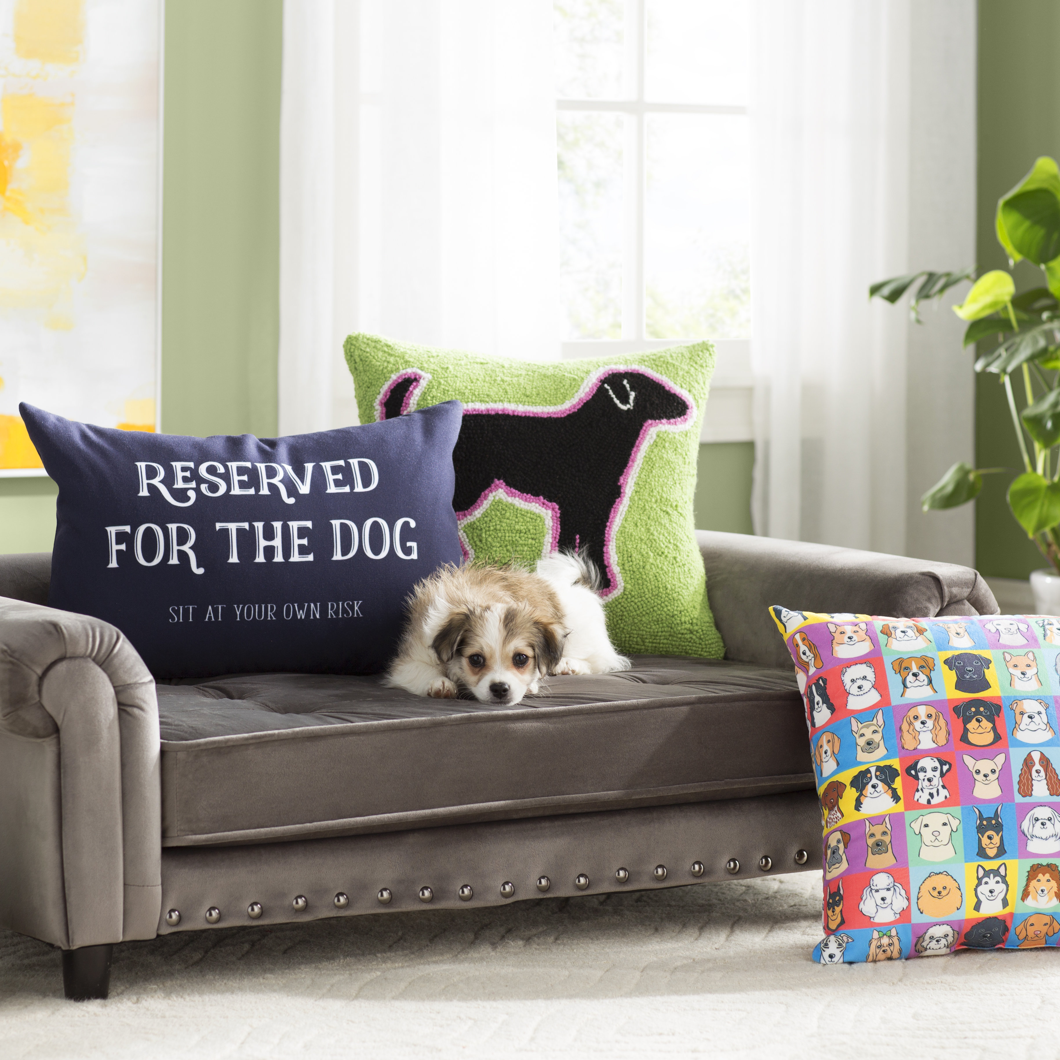 Archie Oscar Constance Dog Sofa With Cushion Reviews Wayfair