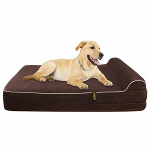 Orthopedic Memory Foam Dog Cot