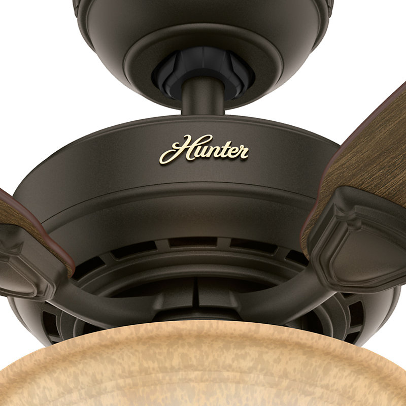 Hunter Fan 44 Auberville 5 Blade Ceiling Wayfair 44 Auberville 5 Blade Ceiling Fan