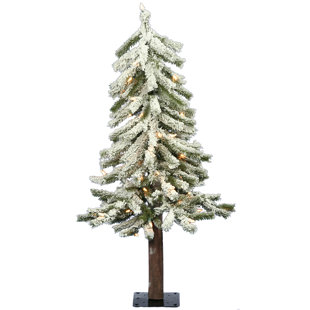 Flocked Alpine 3 Pine Trees White Green Artificial Christmas Tree With 50 Clear Lights Flocked Alpine 3 Pine Trees White Green Artificial Christmas Tree With 50 Clear Lights