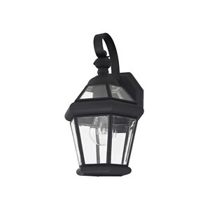 Violetta 1-Light Outdoor Wall Lantern