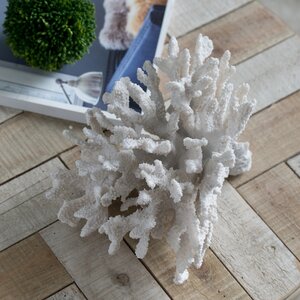 Coral Decor