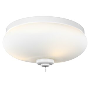 Outdoor 3-Light LED Bowl Ceiling Fan Light Kit