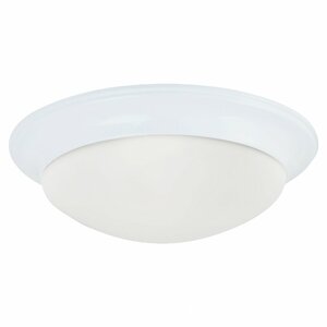 Byrnedale 1-Light Ceiling Flush Mount