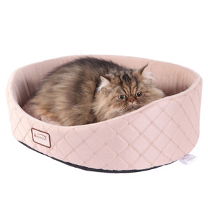 Cat Bed