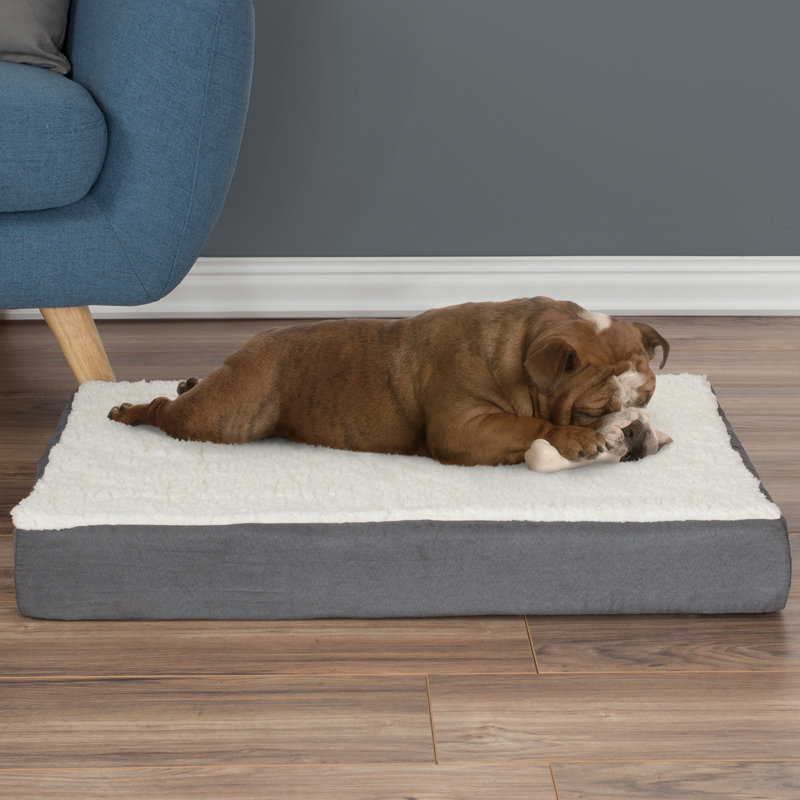 Petmaker Orthopedic Sherpa Memory Foam Dog Mat & Reviews Wayfair