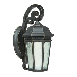 Minarets Lake 1-Light Outdoor Wall Lantern