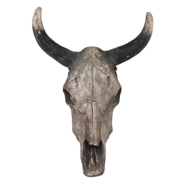 Bull Skull Wall Decor foreside home & garden steer skull wall décor | wayfair Bull Skull Wall Decor foreside home & garden steer skull wall décor | wayfair