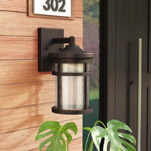 Kasey 1-Light Outdoor Wall Lantern