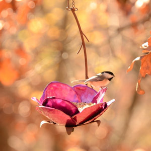 Crab Apple Blossom Decorative Bird Feeder