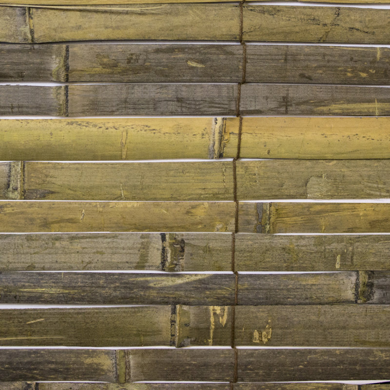 Radiance Laguna Sheer Green RollUp Shade & Reviews Wayfair