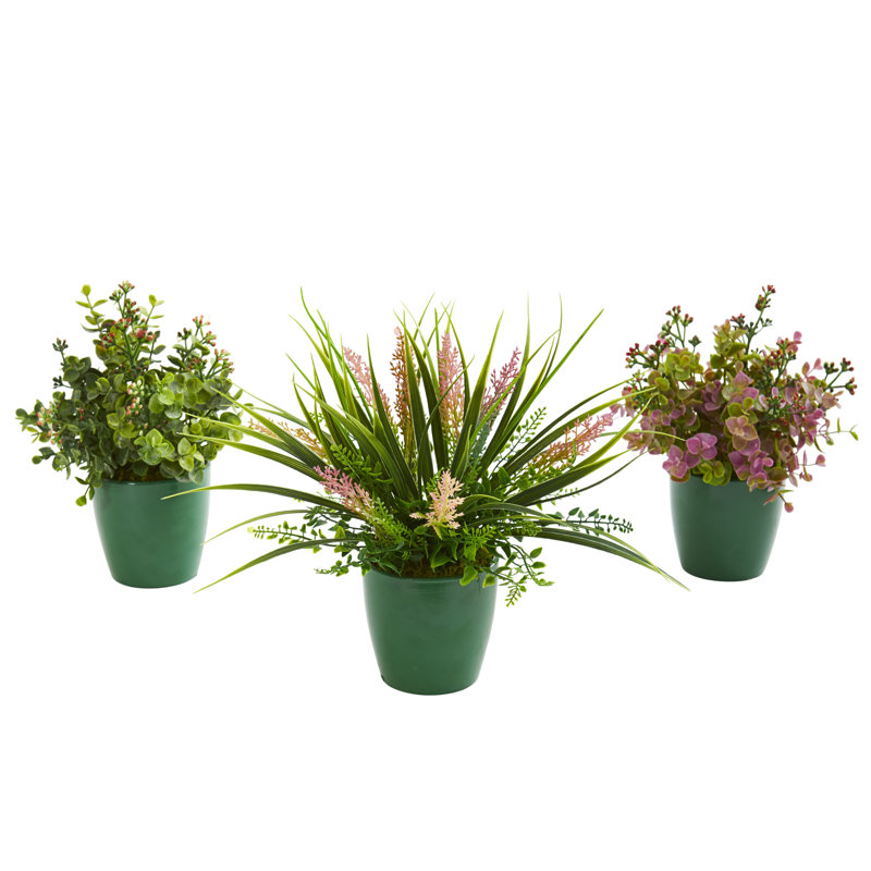 3 Piece Eucalyptus Grass And Sedum Foliage Desktop Plant In Planter Set