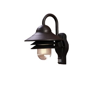 Caja 1-Light Outdoor Barn Light Sconce