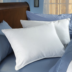 Spring Air? Double Comfort Fiber Pillow by Spring Air