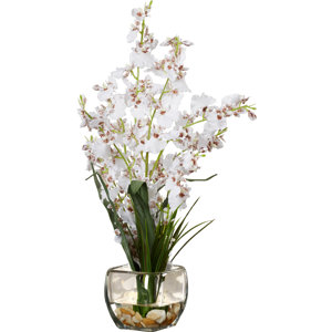 Silk White Orchids in Short Oval Vase