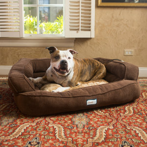 Beautyrest Colossal Rest Orthopedic Memory Foam Extra Large Dog Bed
