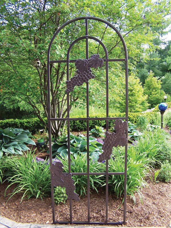 Oakland Living Grape Steel Arched Trellis & Reviews | Wayfair