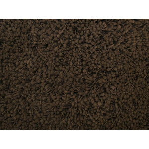 Shag Plus Light Brown Indoor Area Rug