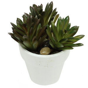 Decorative Artificial Spring Succulent with Stones Desk Top Plant in Pot