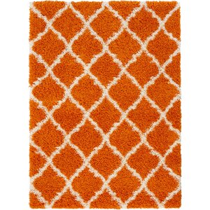 Radford Soft Orange Shaggy Area Rug