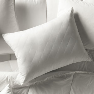 Wayfair Basics Extra Firm Quilted Polyester Pillow (Set of 2)