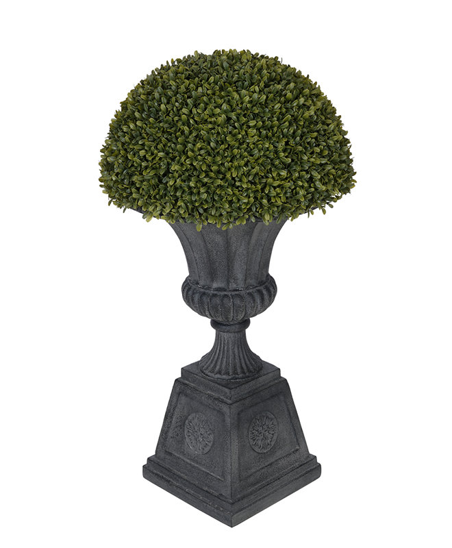 House of Silk Flowers Artificial Boxwood Half Ball Topiary in Urn