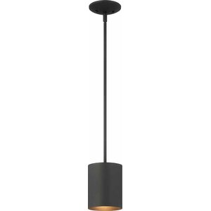 Asine 1-Light Outdoor Pendant