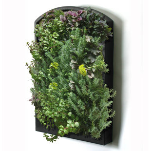 Indoor Living Wall Planter | Wayfair.ca Indoor Living Wall Planter | Wayfair.ca