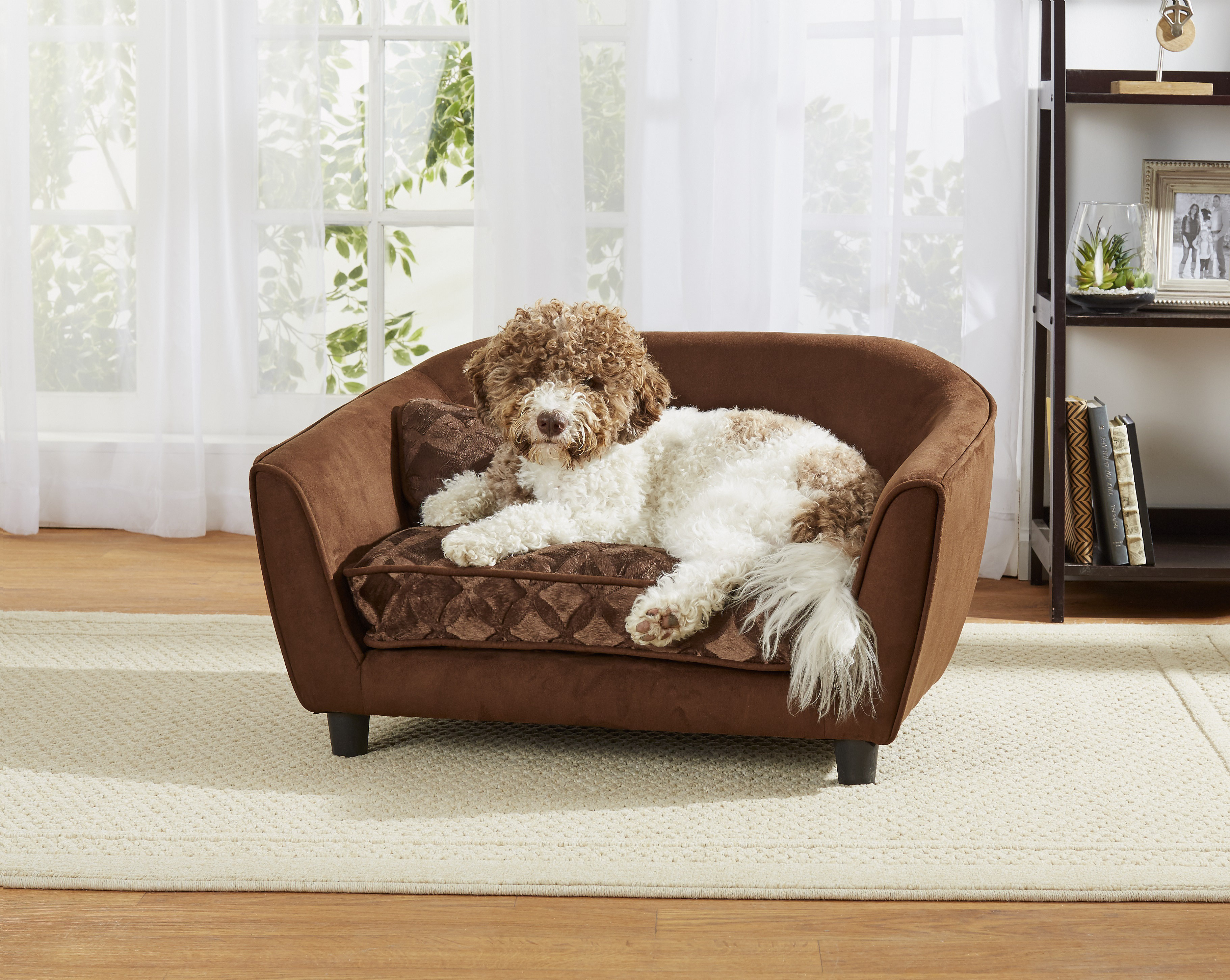 Tucker Murphy Pet Lola Astro Dog Sofa Reviews Wayfair