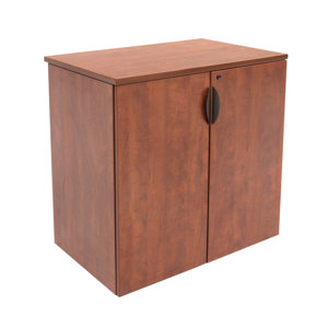 Linh Contemporary 2 Door Storage Cabinet