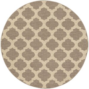 Rubin Brown Indoor/Outdoor Area Rug