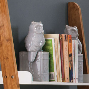 2-tlg. Buchstützen Owl on Book von Castleton Home