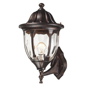 Amy 1-Light Outdoor Sconce