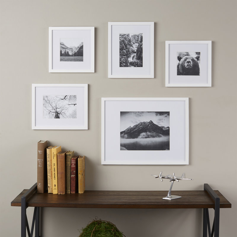 Wayfair Basics™ Wayfair Basics 5 Piece Picture Frame Set & Reviews ...