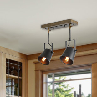 Track Lighting You Ll Love Wayfair Wood Spotlight 2 Light Track Kit